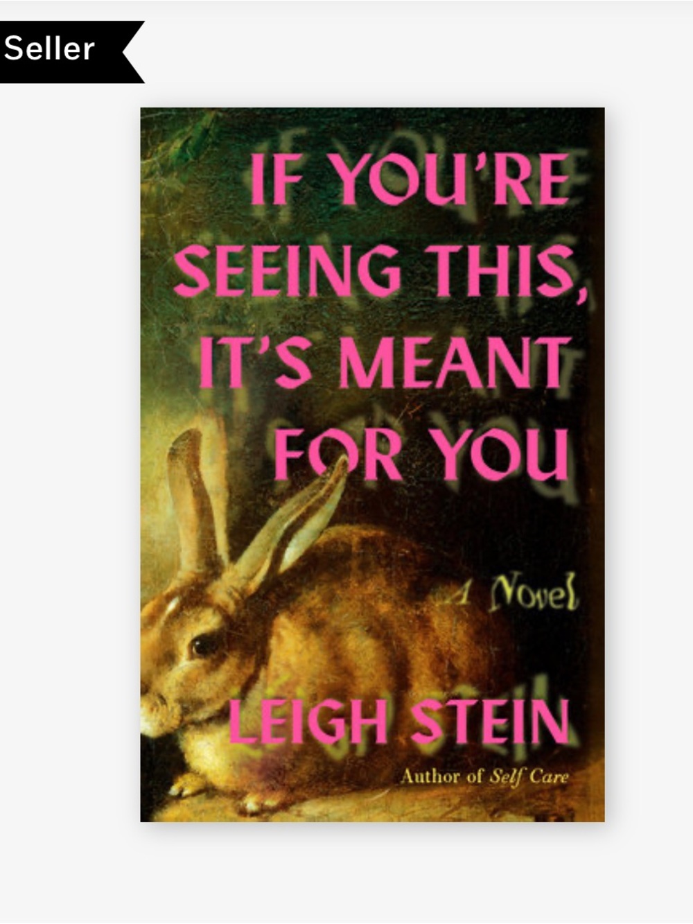 If You're Seeing This, It's Meant for You by Leigh Stein - new paperback